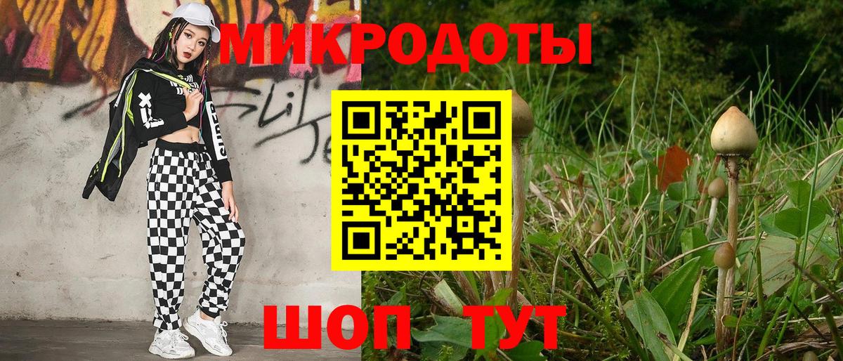 Гатчина  Псилоцибиновые грибы прущие грибы  Вход с VPN 