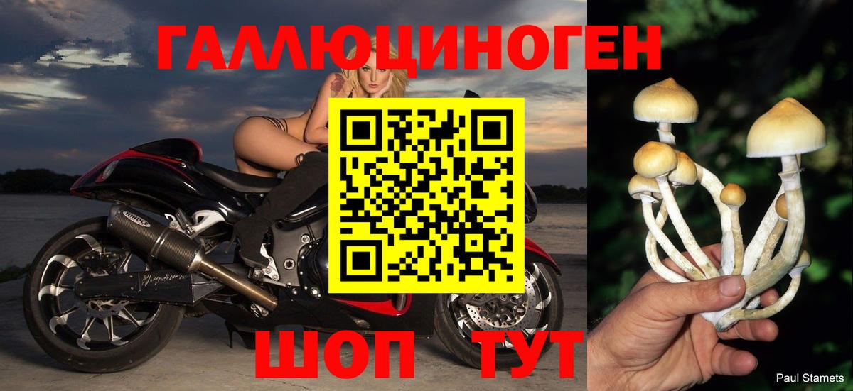 Псилоцибиновые грибы ЛСД Гатчина
